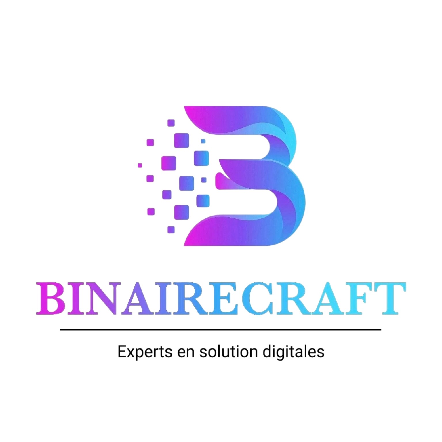 BinaireCraft - partenaire digital